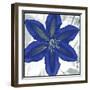 Indigo Star IV-Sharon Chandler-Framed Art Print