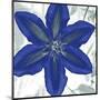 Indigo Star IV-Sharon Chandler-Mounted Art Print