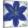 Indigo Star IV-Sharon Chandler-Stretched Canvas