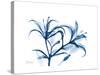 Indigo Starfire Lily-Albert Koetsier-Stretched Canvas