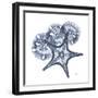Indigo Starfish and Sand Dollar-Albert Koetsier-Framed Photo