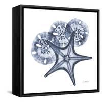 Indigo Starfish and Sand Dollar-Albert Koetsier-Framed Stretched Canvas