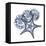 Indigo Starfish and Sand Dollar-Albert Koetsier-Framed Stretched Canvas