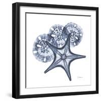 Indigo Starfish and Sand Dollar-Albert Koetsier-Framed Photographic Print