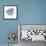 Indigo Starfish and Sand Dollar-Albert Koetsier-Framed Photographic Print displayed on a wall