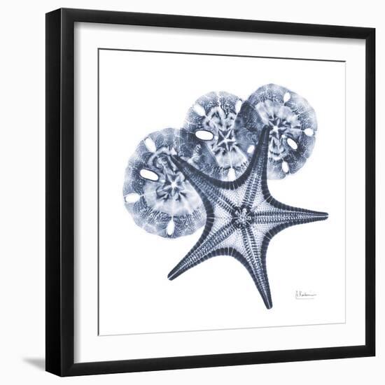 Indigo Starfish and Sand Dollar-Albert Koetsier-Framed Photographic Print
