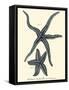 Indigo Starfish II-Denis Diderot-Framed Stretched Canvas