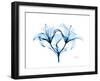 Indigo Starflame Lily-Albert Koetsier-Framed Premium Giclee Print