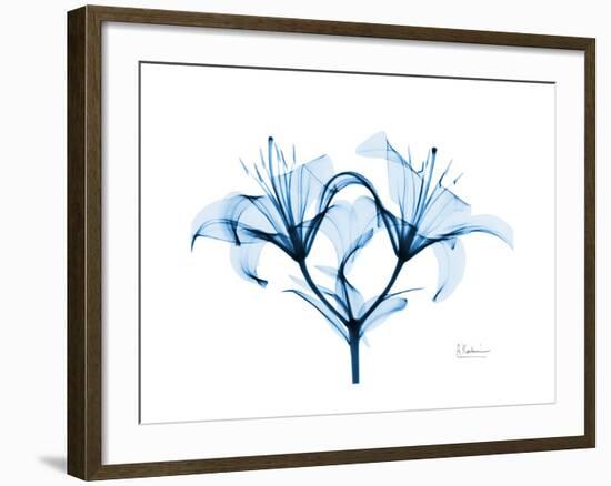 Indigo Starflame Lily-Albert Koetsier-Framed Premium Giclee Print