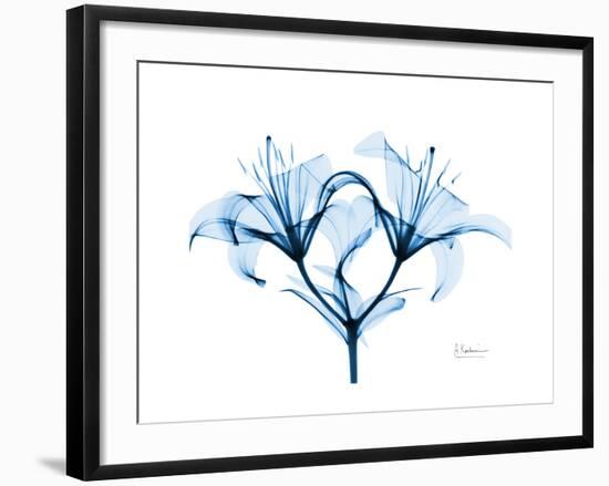 Indigo Starflame Lily-Albert Koetsier-Framed Premium Giclee Print