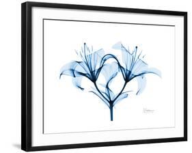 Indigo Starflame Lily-Albert Koetsier-Framed Premium Giclee Print