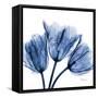 Indigo Stunning Tulips-Albert Koetsier-Framed Stretched Canvas