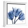 Indigo Stunning Tulips-Albert Koetsier-Framed Art Print