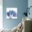 Indigo Stunning Tulips-Albert Koetsier-Art Print displayed on a wall