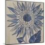 Indigo Sunflower-Chariklia Zarris-Mounted Art Print