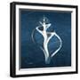 Indigo Tulip-Albert Koetsier-Framed Art Print