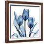 Indigo Tulips-Albert Koetsier-Framed Art Print