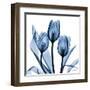 Indigo Tulips-Albert Koetsier-Framed Art Print