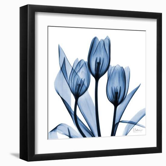 Indigo Tulips-Albert Koetsier-Framed Art Print