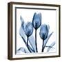 Indigo Tulips-Albert Koetsier-Framed Art Print