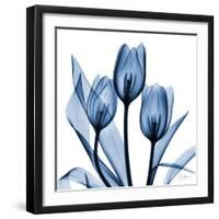 Indigo Tulips-Albert Koetsier-Framed Art Print