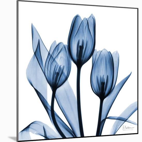 Indigo Tulips-Albert Koetsier-Mounted Art Print