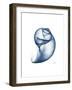 Indigo Water Snail-Albert Koetsier-Framed Art Print