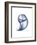 Indigo Water Snail-Albert Koetsier-Framed Art Print