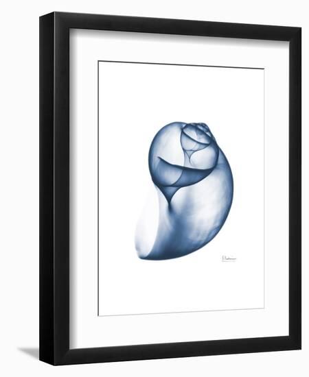 Indigo Water Snail-Albert Koetsier-Framed Art Print