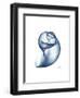 Indigo Water Snail-Albert Koetsier-Framed Art Print