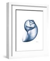 Indigo Water Snail-Albert Koetsier-Framed Art Print