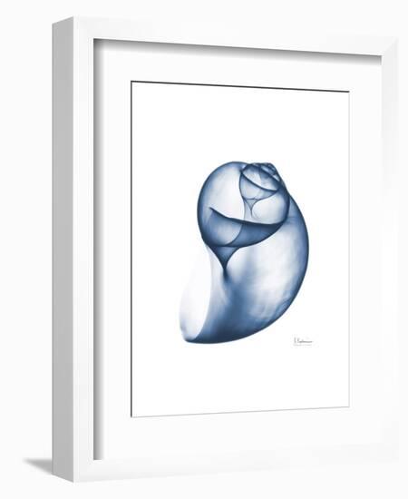 Indigo Water Snail-Albert Koetsier-Framed Art Print