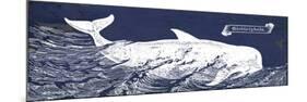 Indigo Whale I-Gwendolyn Babbitt-Mounted Premium Giclee Print