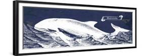 Indigo Whale II-Gwendolyn Babbitt-Framed Premium Giclee Print