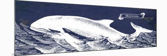 Indigo Whale II-Gwendolyn Babbitt-Mounted Premium Giclee Print