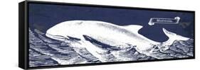 Indigo Whale II-Gwendolyn Babbitt-Framed Stretched Canvas