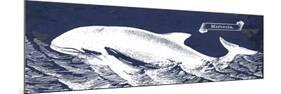 Indigo Whale II-Gwendolyn Babbitt-Mounted Art Print