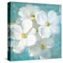 Indiness Blossom Square Vintage II-Danhui Nai-Stretched Canvas