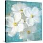 Indiness Blossom Square Vintage II-Danhui Nai-Stretched Canvas