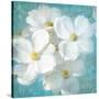 Indiness Blossom Square Vintage II-Danhui Nai-Stretched Canvas