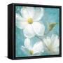 Indiness Blossom Square Vintage IV-Danhui Nai-Framed Stretched Canvas