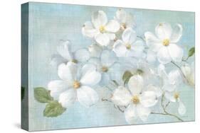 Indiness Blossoms Light-Danhui Nai-Stretched Canvas