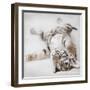 Indira-Rachael Hale-Framed Art Print