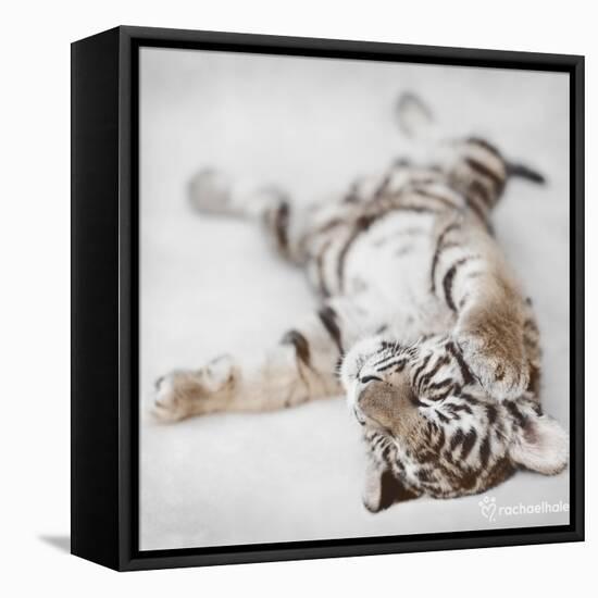 Indira-Rachael Hale-Framed Stretched Canvas