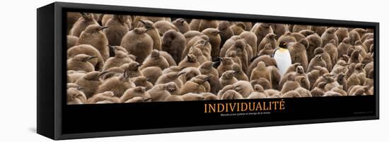 Individualité (French Translation)-null-Framed Stretched Canvas