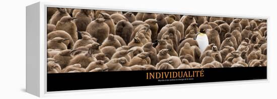 Individualité (French Translation)-null-Framed Stretched Canvas