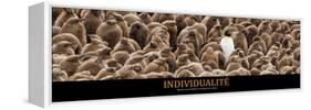 Individualité (French Translation)-null-Framed Stretched Canvas