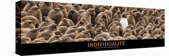 Individualité (French Translation)-null-Stretched Canvas