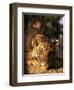 Indo Chinese Tiger Cub, Panthera Tigris Corbetti, Tiger Sanctuary for Confiscated Animals, Thailand-Lousie Murray-Framed Photographic Print