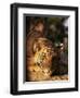 Indo Chinese Tiger Cub, Panthera Tigris Corbetti, Tiger Sanctuary for Confiscated Animals, Thailand-Lousie Murray-Framed Photographic Print